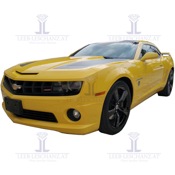 bumblebee seite L