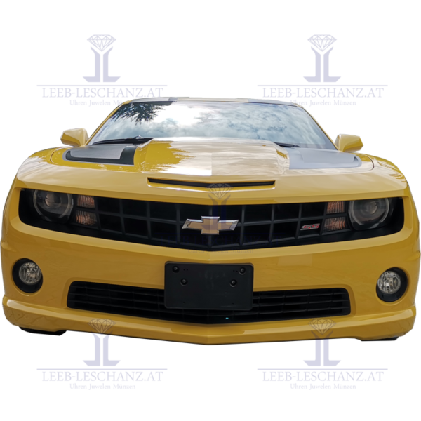 bumblebee transformers