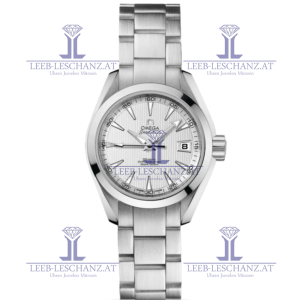 Omega Seamaster Aquaterra 150m Omega coaxial 30mm 23110302002001