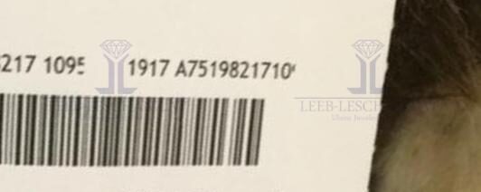 Moschino Couture crazy ape bag