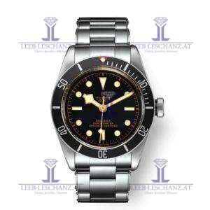 Tudor Black Bay 79230N Steel
